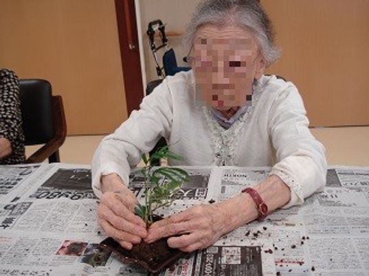 園芸活動の様子