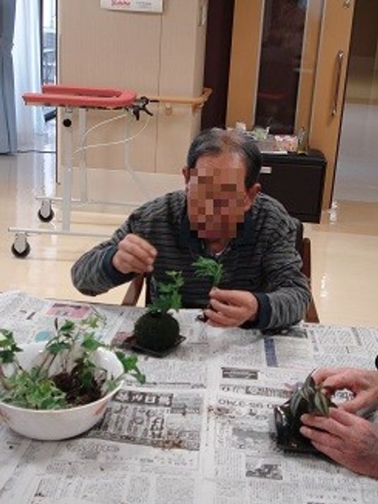 植物作業を楽しむ様子　