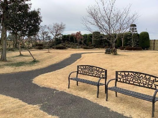 静かな庭のベンチ