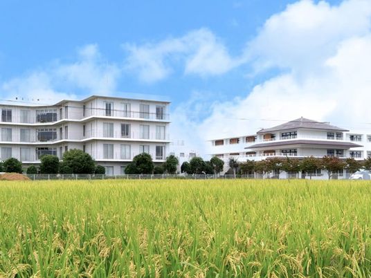 緑の田と建物の外観  