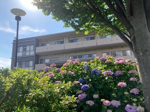 建物外観と花壇の庭  