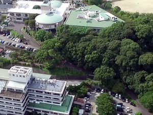 緑に囲まれた施設外観  