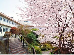 桜咲く中庭  