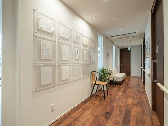 明るい廊下と掲示物  