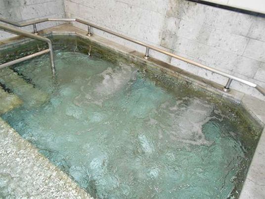 手すり付きの浴槽