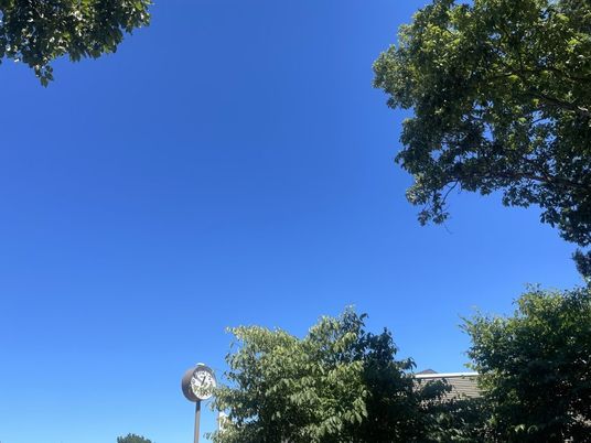 青空と木々の庭  