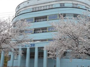 桜に囲まれた外観  
