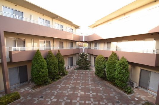 植栽が整う中庭