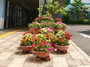 花壇のあるエントランス  
