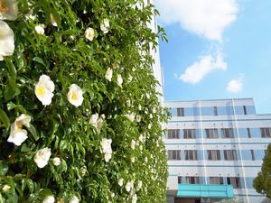 花咲く外観  