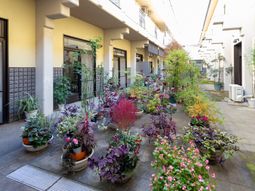 色とりどりの植物が並ぶ中庭