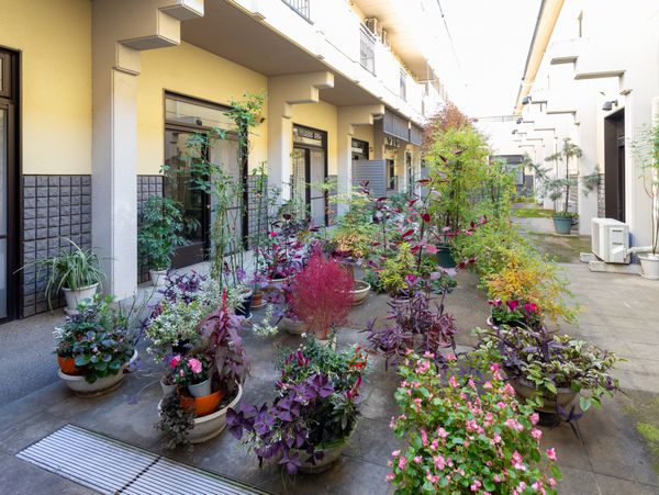 色とりどりの植物が並ぶ中庭