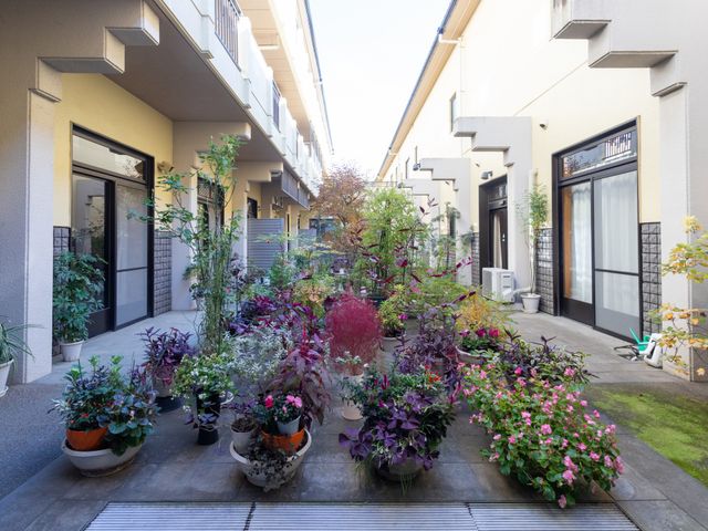 色鮮やかな植栽スペース 中庭 色とりどりの花や植物が並ぶ明るい雰囲気の場所です。リラックスして過ごせる憩いの空間となっています。