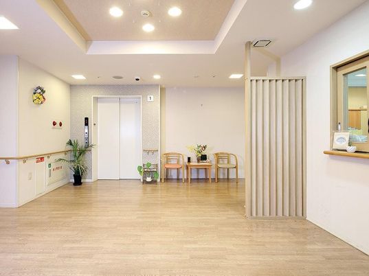 エントランスの床と植物