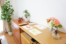 居室の植物と机