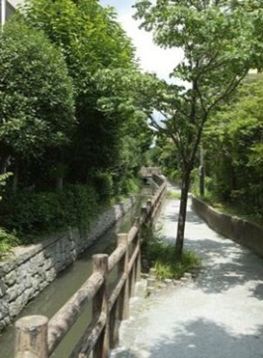 緑豊かな施設中庭
