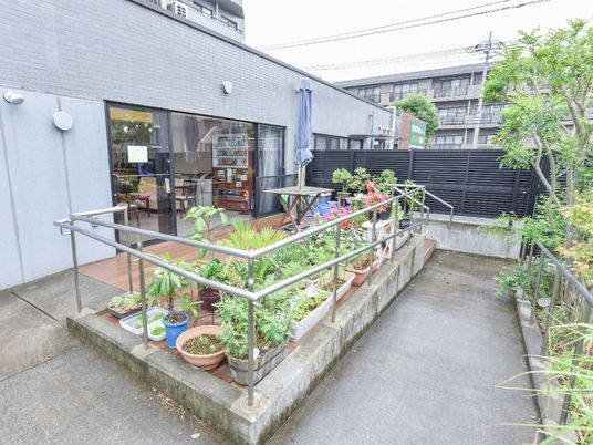 中庭に彩りを添える植物