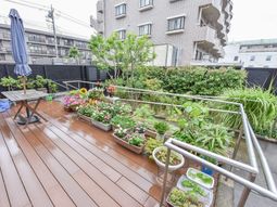 多彩な植物のテラス