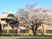 桜が映える外観  