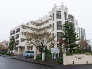 白い建物と緑の樹木