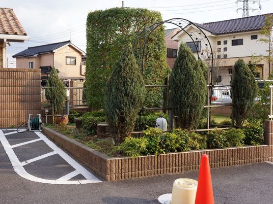 中庭の緑と居住者