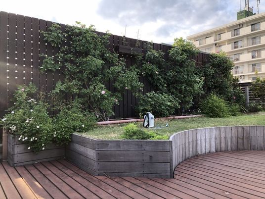 緑ある屋外テラス  