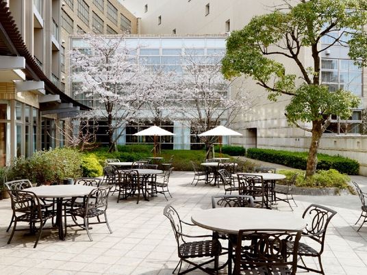 中庭の桜とテーブル