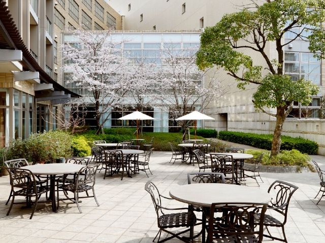 中庭の桜とテーブル テラス 春の息吹を感じる穏やかな中庭で、心安らぐひとときを過ごせます。