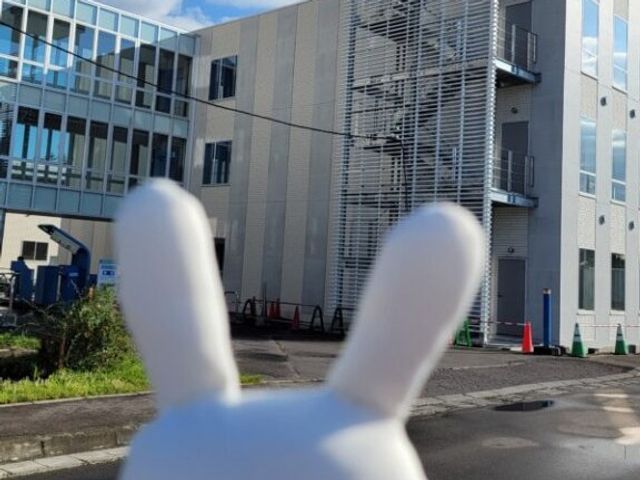 建物外観 外観   大きな窓が並ぶ建物の外観です。周囲はすっきりしており、明るい印象があります。