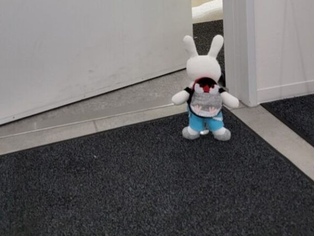 うさぎのぬいぐるみがある廊下 廊下   白い壁と濃色の床がすっきりした廊下です。出入口のそばにぬいぐるみが置かれ、やわらかな雰囲気があります。