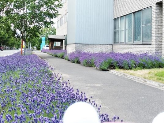花壇のある建物外観  