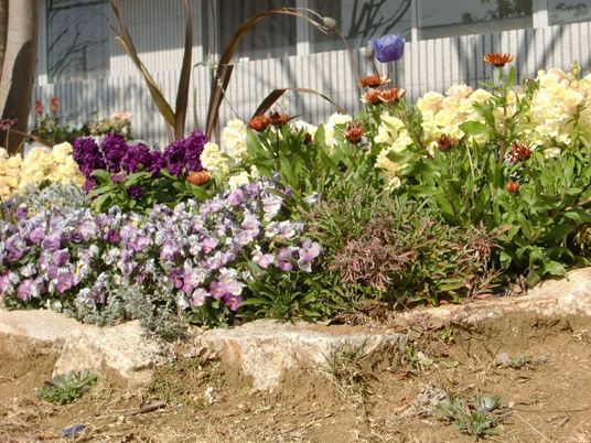 色鮮やかな花壇の庭  