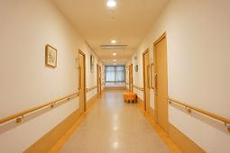 清潔な廊下の風景