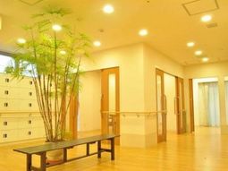 明るい廊下の風景