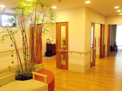 居心地の良い廊下