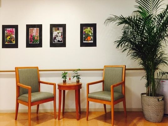 廊下の植物と椅子