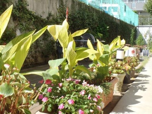 花と緑のゆったり中庭