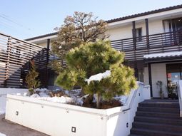 雪が積もる落ち着いた外観