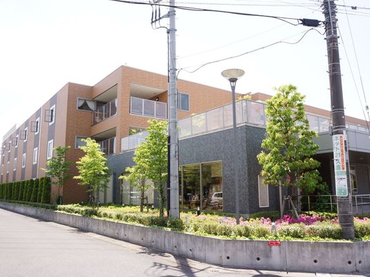 緑豊かなモダン建築
