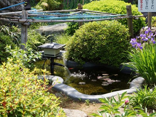 緑豊かな中庭の景観