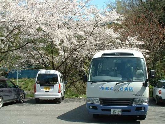 送迎車と桜の外観  