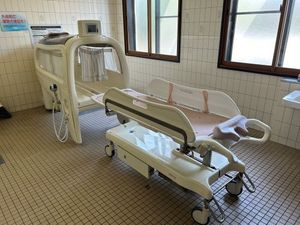 介護浴室の入浴設備  