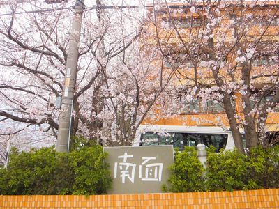 桜と看板の外観