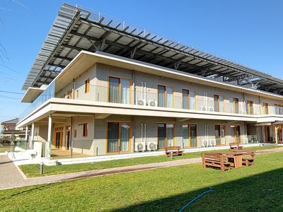 日差しの入る庭
