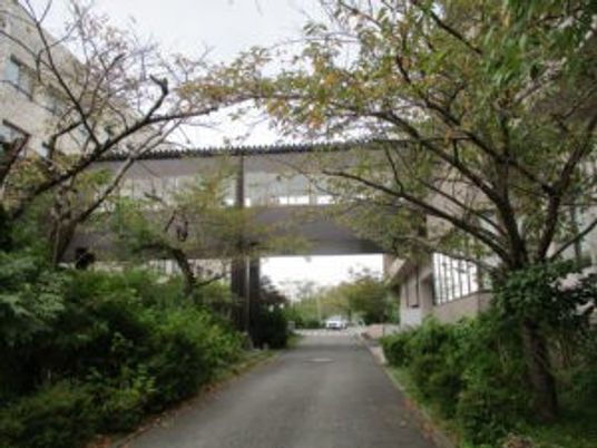木々に囲まれた外観  