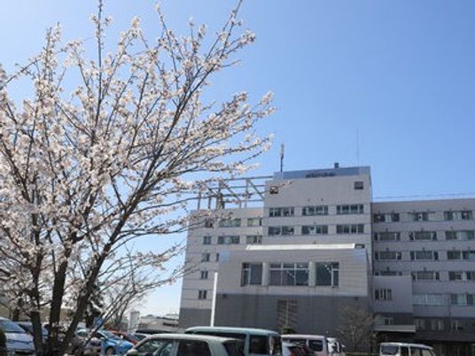 桜と建物の外観  