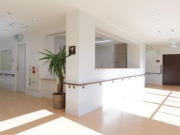 明るいエレガントな廊下