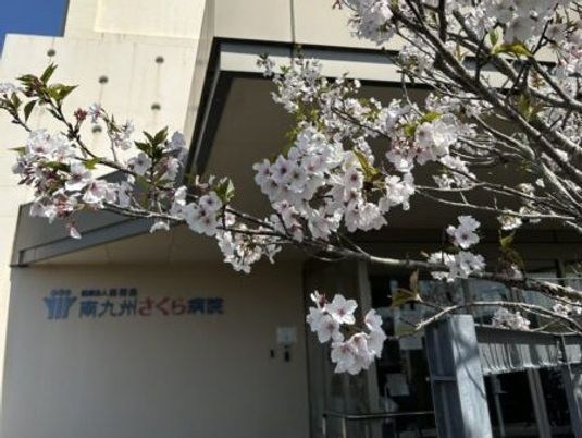 桜と建物外観  