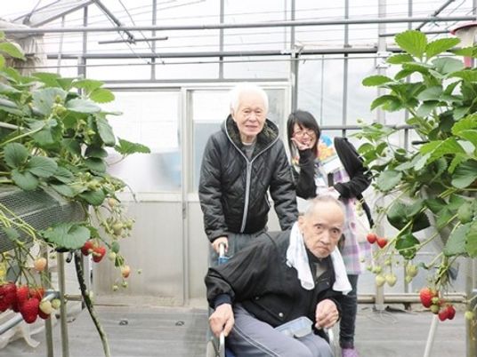 笑顔の人々と苺園