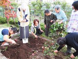 園芸活動をする人々